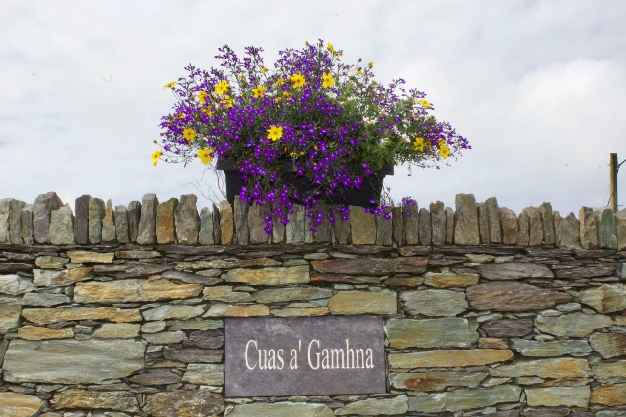 Bed and Breakfast Cuas A' Gamhna à Île de Valentia Extérieur photo